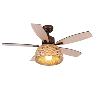 Ceiling fan light