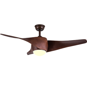 Ceiling fan with led light