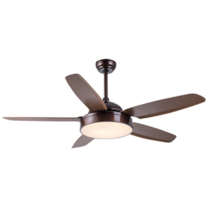 220v ceiling fan light