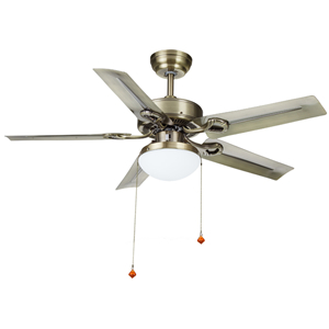 Ceiling fan 110V