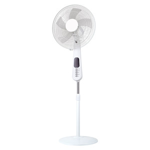 Fan brush