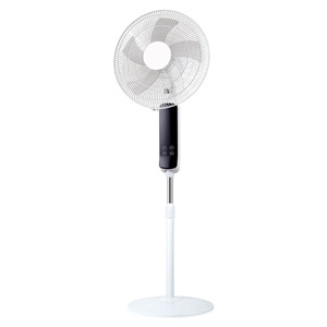 Advertisement fan