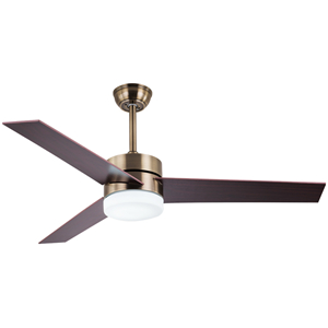 110v AC ceiling fan