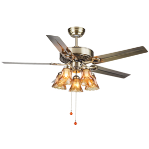 Decorative ceiling fans with lights