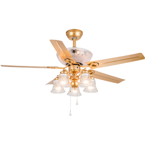 Decorative ceiling fan light
